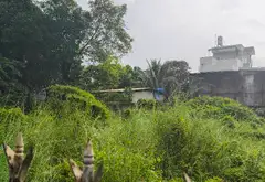 Đất mặt tiền rộng ngay trung tâm Hóc Môn, cơ hội siêu hiếm... Bán nhà mặt phố tại Hóc Môn, Hồ Chí Minh 04