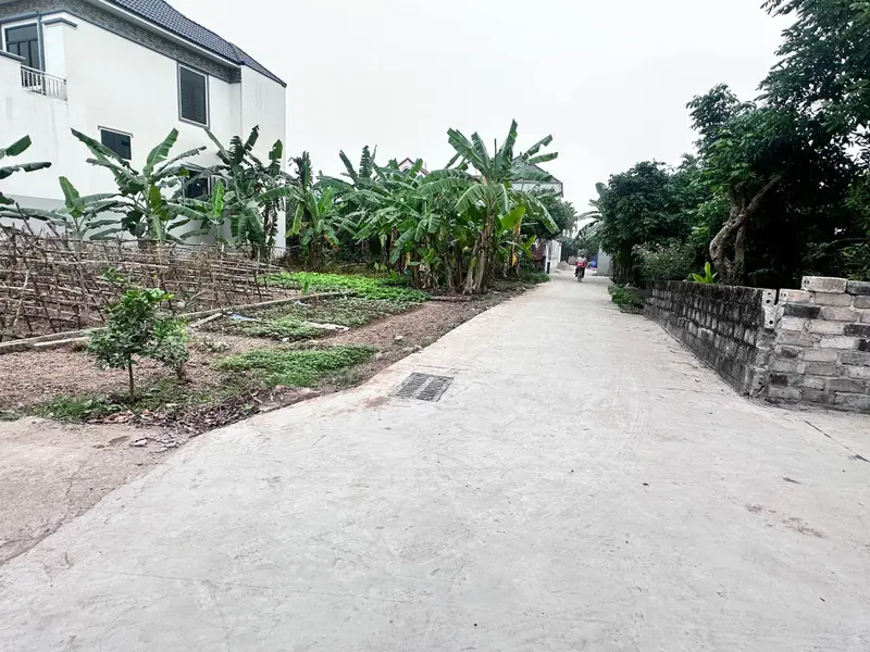 Bán đất phân lô mặt ngõ ô tô tại An Vĩ, Hưng Yên, giá đầu tư... Bán đất tại Triệu Việt Vương, Hưng Yên 01