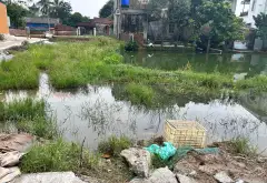 Siêu phẩm đất lô góc nở hậu thôn Vàng Thông, Gia Bình - Cơ hội đầu tư cực hiếm... Bán đất tại Gia Bình, Bắc Ninh 08