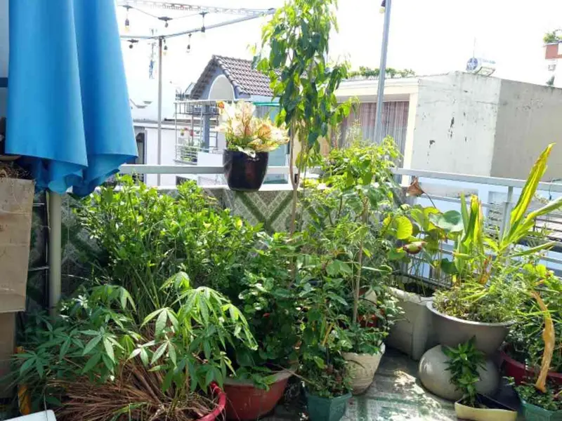 Nhà 3 tầng 4 phòng ngủ Tân Bình, giá 6.5 tỷ, hẻm rộng 8m... Bán nhà riêng tại Tân Sơn, Hồ Chí Minh 01