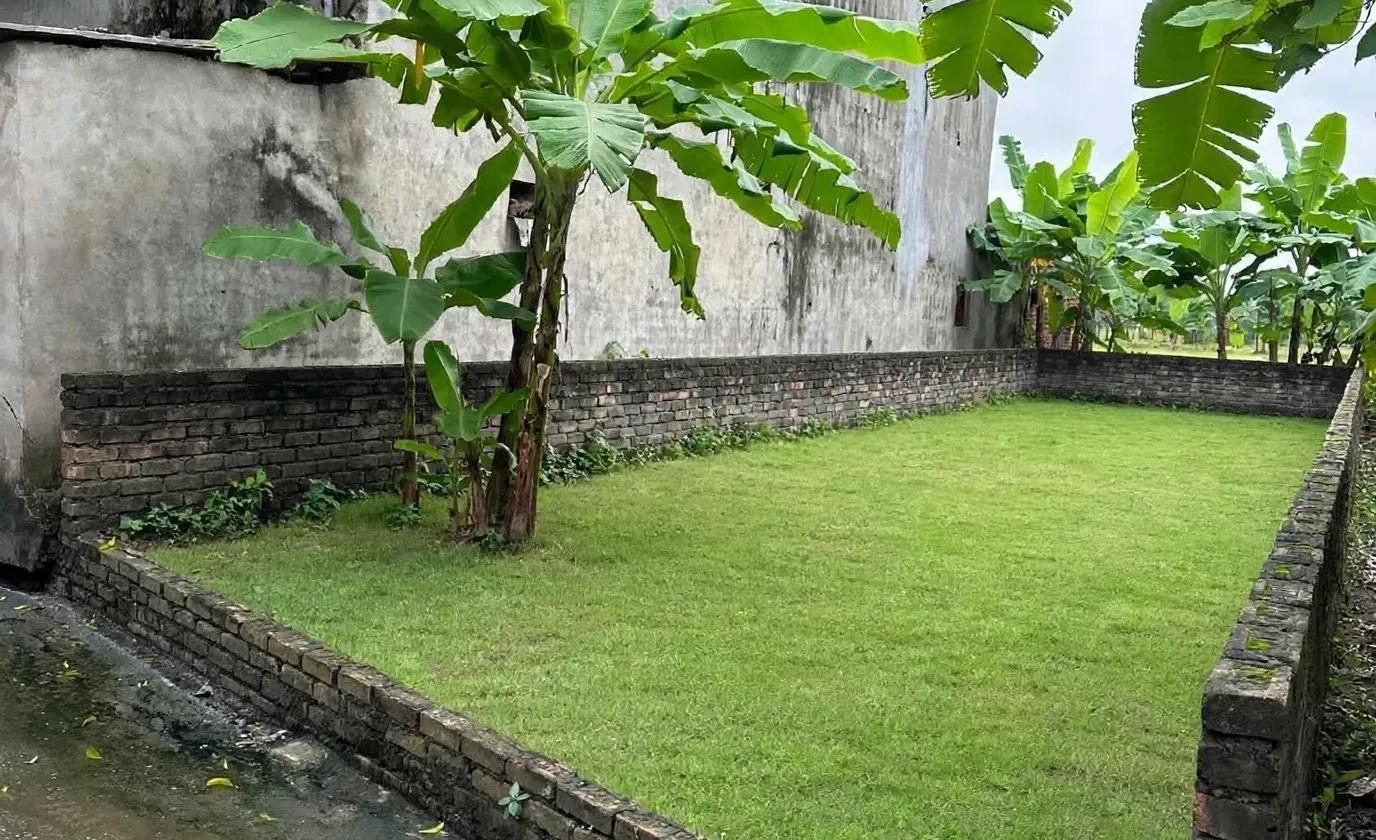 86M ĐẤT MT 4.5M CD 21M TRUNG LÊ NHƯ QUỲNH,PHÙ HỢP XÂY Ở VÀ CHO THUÊ TRỌ CÓ DÒNG TIỀN... Bán đất tại Tân Hưng, Hưng Yên 01