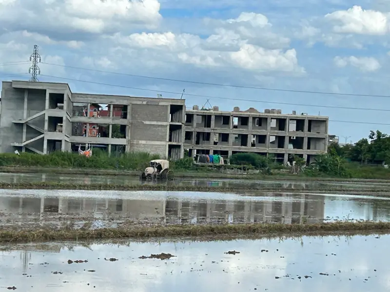 B.án đất 85.6m2 mặt tiền rộng- ngõ ô tô Mai Động, Phù Khê, Từ Sơn 2,xtỷ... Bán đất tại Phù Khê, Bắc Ninh 01