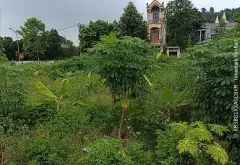 ĐẤT ĐẸP VĨNH PHÚ – PHẬT TÍCH – SÁT KCN SAIGONTEL .... Bán đất tại Phật Tích, Bắc Ninh 01