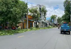 Nhà góc 2 mặt hẻm Nguyễn Phúc Chu - 3PN, giá hợp lý... Bán nhà riêng tại Tân Sơn, Hồ Chí Minh 02