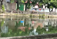 B.án đất 85.6m2 mặt tiền rộng- ngõ ô tô Mai Động, Phù Khê, Từ Sơn 2,xtỷ... Bán đất tại Phù Khê, Bắc Ninh 05