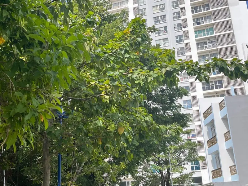 Bán căn hộ 2 phòng ngủ diện tích 77.3m2 tại khu chung cư Sài Gòn mới, hỗ trợ vay ngân hàng... Bán căn hộ chung cư tại Nhà Bè, Hồ Chí Minh 01