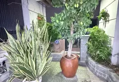 Bán nhà 4 tầng 4 phòng ngủ tại Phường An Hội Tây, TP HCM... Bán nhà riêng tại An Hội Tây, Hồ Chí Minh 19