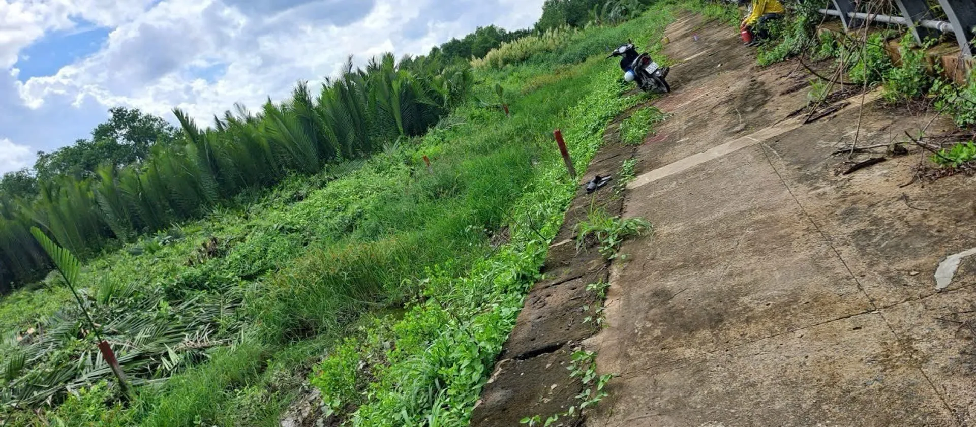 Đất rộng view sông Nguyễn Văn Tạo, tiềm năng đầu tư đỉnh cao... Bán đất tại Hiệp Phước, Hồ Chí Minh 01
