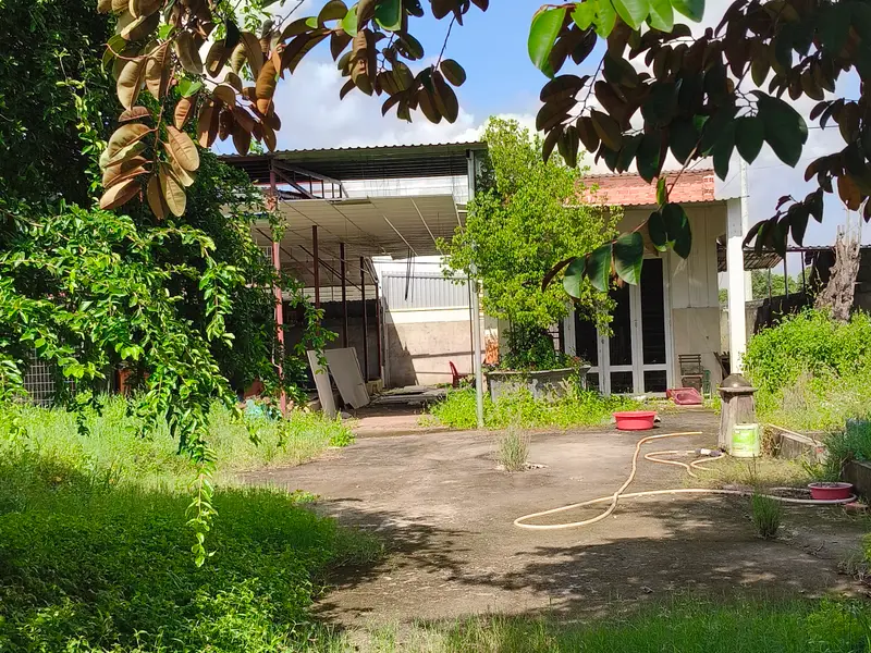 MẶT TIỀN ĐƯỜNG 10M CÓ VỈA HÈ BÀ ĐIỂM HÓC MÔN - 8.8m × 32m FULL THỔ CƯ - 9.6 TỶ... Bán nhà mặt phố tại Bà Điểm, Hồ Chí Minh 01