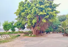 🌿🌿KHU ĐẤT BÊN SÔNG MÁT MẺ – 53m2 , Ngang 5m - P. Hiệp Bình TP. HCM... Bán đất tại Hiệp Bình, Hồ Chí Minh 03