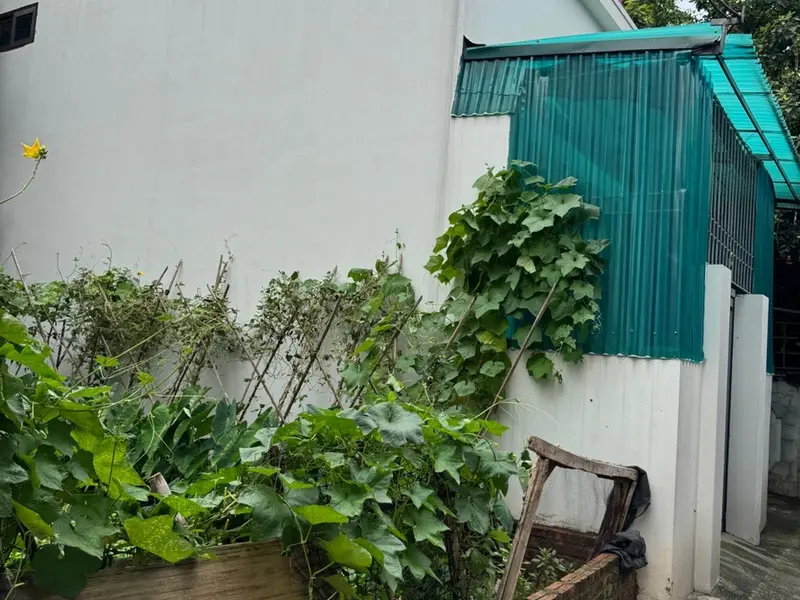 Nhà 2 tầng lô góc, vị trí trung tâm Xã Đan Phượng... Bán nhà riêng tại Đan Phượng, Hà Nội 01