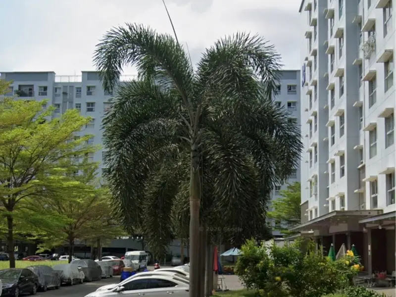 Shophouse mặt tiền chung cư Ehome3 Khu dân cư Nam Long, đường Hồ Ngọc Lãm sát Võ Văn Kiệt, An Lạc -... Bán Shophouse tại An Lạc, Hồ Chí Minh 01