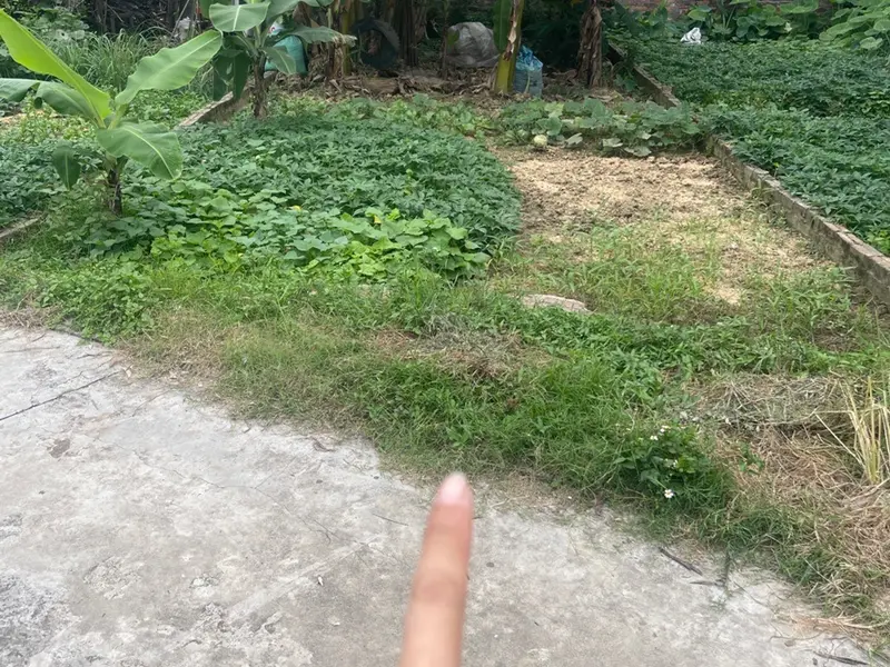 Bán đất thổ cư 60m² tại Yên Tàng, Bắc Phú - tiện ích đầy đủ, pháp lý rõ ràng... Bán đất tại Đa Phúc, Hà Nội 01