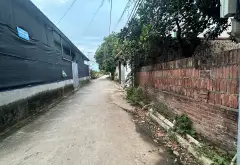 Bán đất mặt ngõ ô tô tại Dương Quang, diện tích 80m2, mặt tiền 5m,Gần Cbowj,Trường Học.... Bán đất tại Thuận An, Hà Nội 03