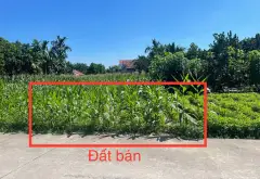 Đức Hợp 115,2m2 - Thôn Phú Cường, MT 4,22m x 18,9m - Ô tô tránh, View sông Hồng - 2,22 tỷ... Bán đất tại Đức Hợp, Hưng Yên 03