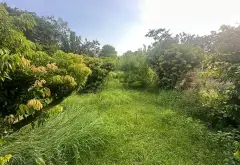 Biệt Thự Sân Vườn Có Hồ Bơi Tại Khu Nghỉ Dưỡng Lâm Trường - Trung Giã - Sóc Sơn... Bán nhà riêng tại Kim Anh, Hà Nội 10