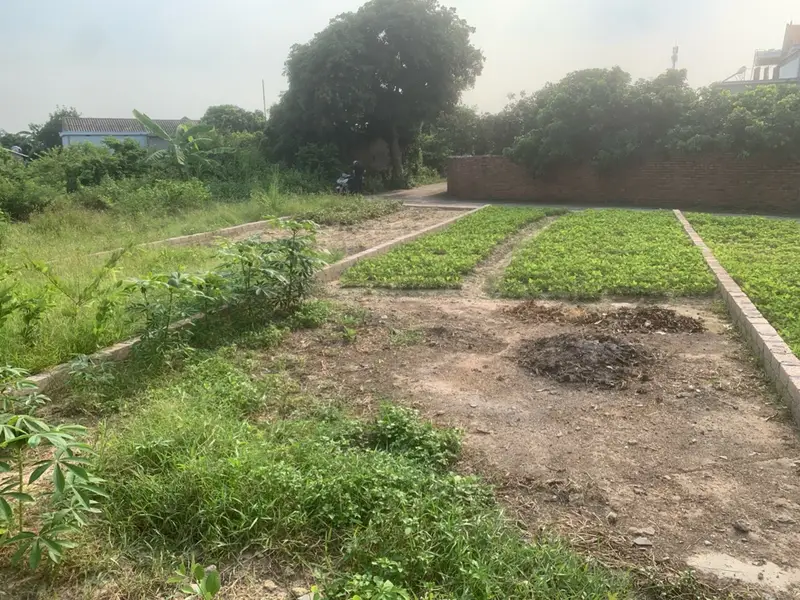 Bán đất 102 m2 hướng Tây Nam tại Bắc Mã 2, An Sinh, pháp lý cơ sở... Bán đất tại An Sinh, Quảng Ninh 01