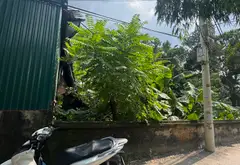 Cơ hội vàng sở hữu đất sát nhà văn hóa Vạn Phúc - Ô tô đỗ cửa, giá hợp lý... Bán nhà riêng tại Nam Phù, Hà Nội 13