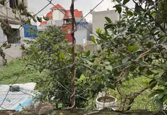 Bán đất 54m² ngõ Bình Kiều, Đông Hải, Hải Phòng... Bán đất tại Đông Hải, Hải Phòng 03