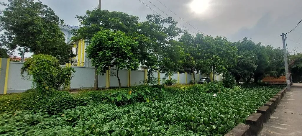 Cơ Hội Vàng Sở Hữu Đất Rộng Vị Trí Đẹp Tại Đông Mỹ... Bán đất tại Nam Phù, Hà Nội 01