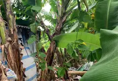 Đất đẹp khu E Phương Trang - Giá sốc giảm ngay hôm nay... Bán đất tại Hòa Khánh, Đà Nẵng 05