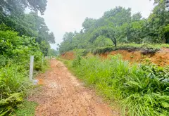 Đất Vàng 4000m² Đẹp Nhất Sóc Sơn - Cơ Hội Vàng Cho Nhà Đầu Tư!... Bán owner_side tại Sóc Sơn, Hà Nội 05