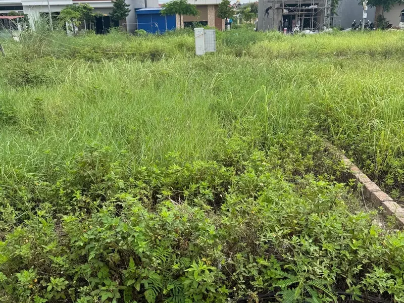 Lô Đất Tái Định Cư Khu B Trung Tâm Hành Chính Hải Phòng Vị Trí Vàng... Bán đất tại Thủy Nguyên, Hải Phòng 01