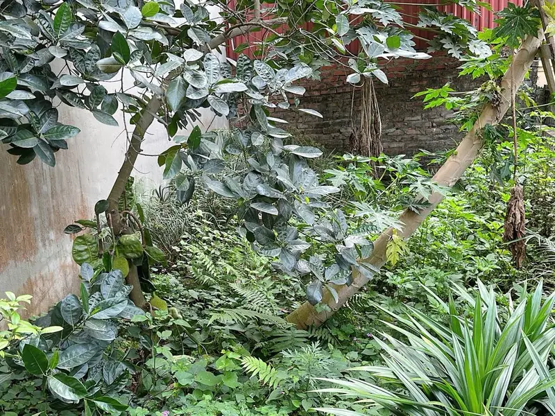 Đất Vĩnh Thanh Hà Nội - Giá Sốc, Cơ Hội Đầu Tư Vàng... Bán đất tại Vĩnh Thanh, Hà Nội 01
