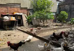 Đất vuông vắn giá đầu tư gần chợ, trường học... Bán đất tại Phù Khê, Bắc Ninh 01