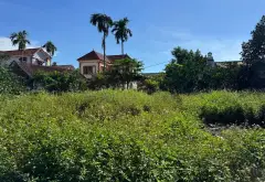 Đất 68 thôn Trung Thành 57/81m2 3.6 tỷ Sổ đỏ giao dịch... Bán đất tại Ô Diên, Hà Nội 07