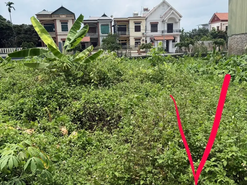 Mảnh đất vàng cho nhà đầu tư tại Ninh Xá, Bắc Ninh... Bán đất tại Ninh Xá, Bắc Ninh 01