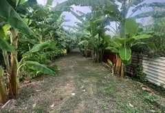 Bán đất mặt tiền đường Nguyễn Bình - hơn 700m. Gần ĐH thể thao, trung tâm văn hóa... Bán đất tại Nhà Bè, Hồ Chí Minh 02