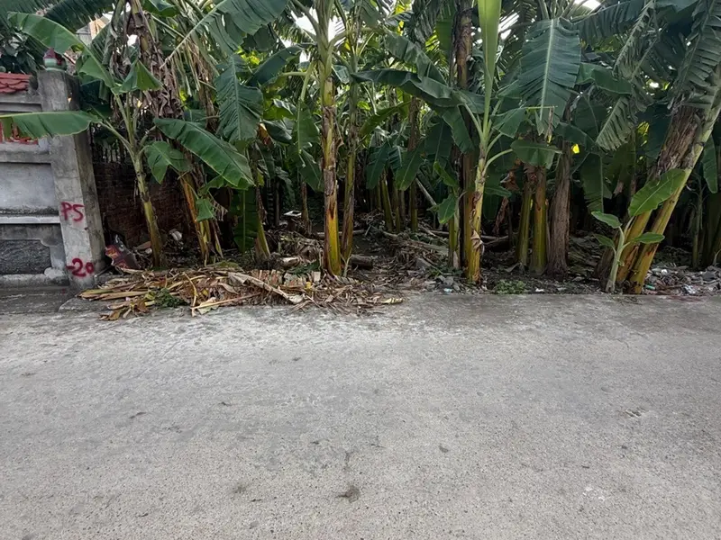 Bán đất xã Hoàn Long, Hưng Yên, diện tích 100m², pháp lý rõ ràng... Bán đất tại Hoàn Long, Hưng Yên 01