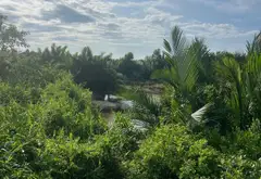 🔥 ĐẤT HIỆP PHƯỚC – NGANG 5M, DÀI 39.5M – GẦN KCN HIỆP PHƯỚC – CHỈ 2,3 TỶ... Bán đất tại Hiệp Phước, Hồ Chí Minh 05