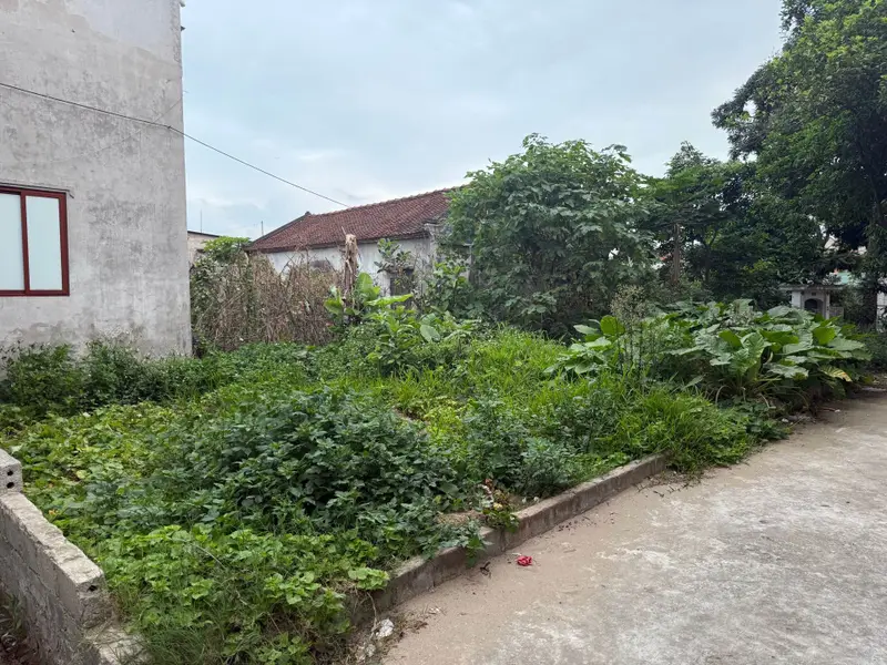 Cơ hội vàng sở hữu đất nền vị trí đắc địa tại Thượng Phúc, Hà Nội với giá hấp dẫn... Bán đất tại Thượng Phúc, Hà Nội 01
