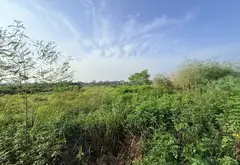 Bán đất 342m2 mặt tiền rộng ở Lương Nỗ chỉ 5xx triệu... Bán đất tại Đông Anh, Hà Nội 05