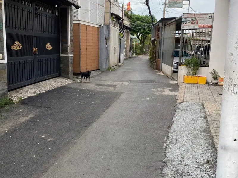 CHỦ GẤP BÁN GIẢM GIÁ SÂU - NHÀ QUANG TRUNG 44m2 GẦN HXH CHỈ CÒN HƠN 4 tỷ BL... Bán nhà riêng tại Thông Tây Hội, Hồ Chí Minh 01
