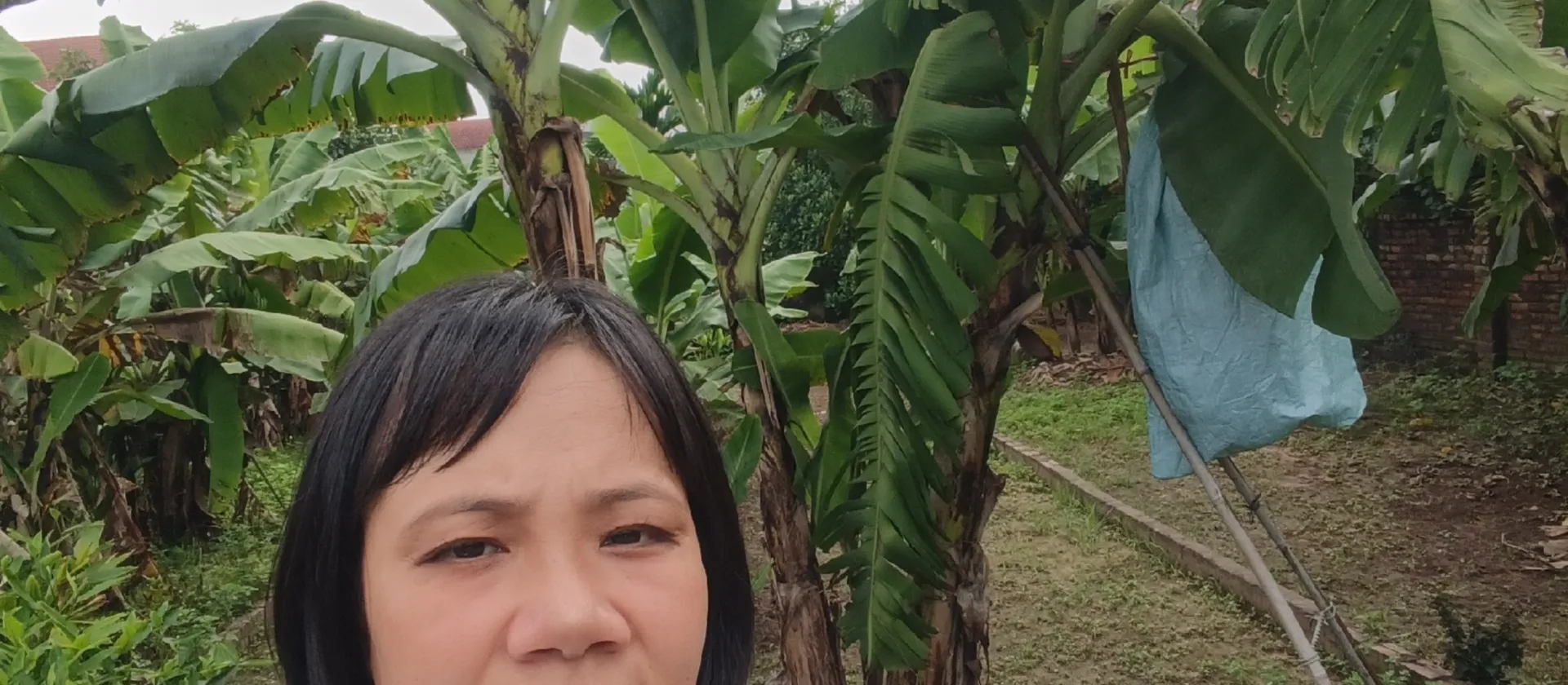 🔥🔥🔥Ngay sát Hà Nội. Chỉ nhỉnh 4tỷ có ngay lô đất 101,5m², Mt: 5m, sổ đỏ cất két, giao dịch ngay... Bán đất tại Văn Giang, Hưng Yên 01
