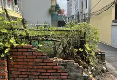 Cơ hội hiếm có tại Trung Tâm Trâu Quỳ - Lô Góc Đắc Địa, Phân Lô, Gara Ô Tô... Bán owner_side tại Gia Lâm, Hà Nội 01