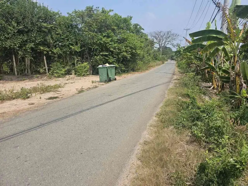 Đất mặt tiền đường rộng Thái Mỹ - Cơ hội đầu tư tuyệt vời... Bán đất tại Thái Mỹ, Hồ Chí Minh 01