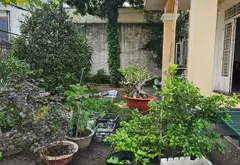 Biệt thự nhà vườn rộng rãi tại quận 12 với vị trí thuận tiện... Bán biệt thự, liền kề tại An Hội Đông, Hồ Chí Minh 06