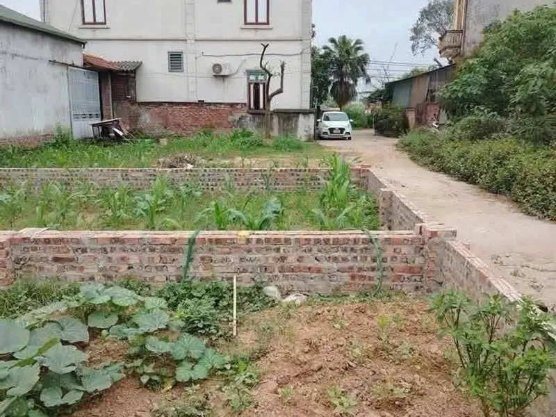 Bán đất 42,6m² mặt tiền 4,5m gần Vin Cổ Loa, khu dân cư ổn định, ô tô đỗ cửa... Bán đất tại Đông Anh, Hà Nội 01