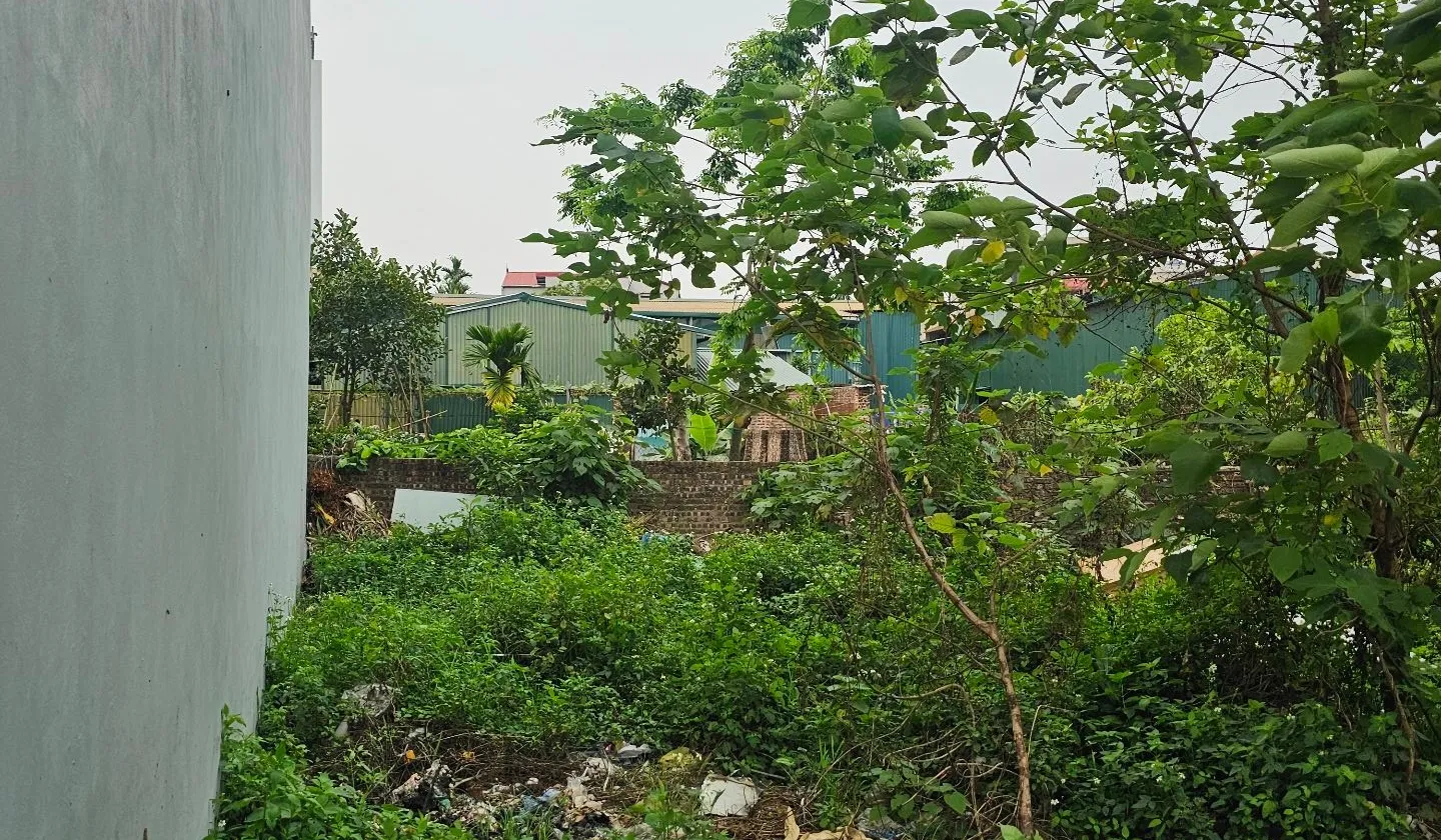 Bán đất khu đấu giá thôn Tương Chúc, xã Nam Phù, vị trí đắc địa giao thông thuận tiện... Bán đất tại Nam Phù, Hà Nội 01
