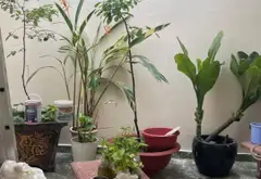 Bán nhà mặt phố Cư Xá Phú Lâm B Quận 6 3 tầng, mặt tiền 4.2m... Bán nhà mặt phố tại Phú Lâm, Hồ Chí Minh 11