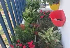 Bán căn hộ chung cư 2 phòng ngủ tại Phúc Lợi, thiết kế thoáng mát, pháp lý rõ ràng... Bán căn hộ chung cư tại Phúc Lợi, Hà Nội 05