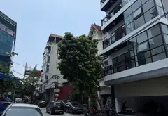 Sở Hữu TOÀ NHÀ Bề Thế GIẢI PHÓNG 52m Ô TÔ TRÁNH KINH DOANH VỈ HÈ 2 BÊN MẶT TIỀN KHỦNG 25 tỷ... Bán nhà riêng tại Hoàng Mai, Hà Nội 08