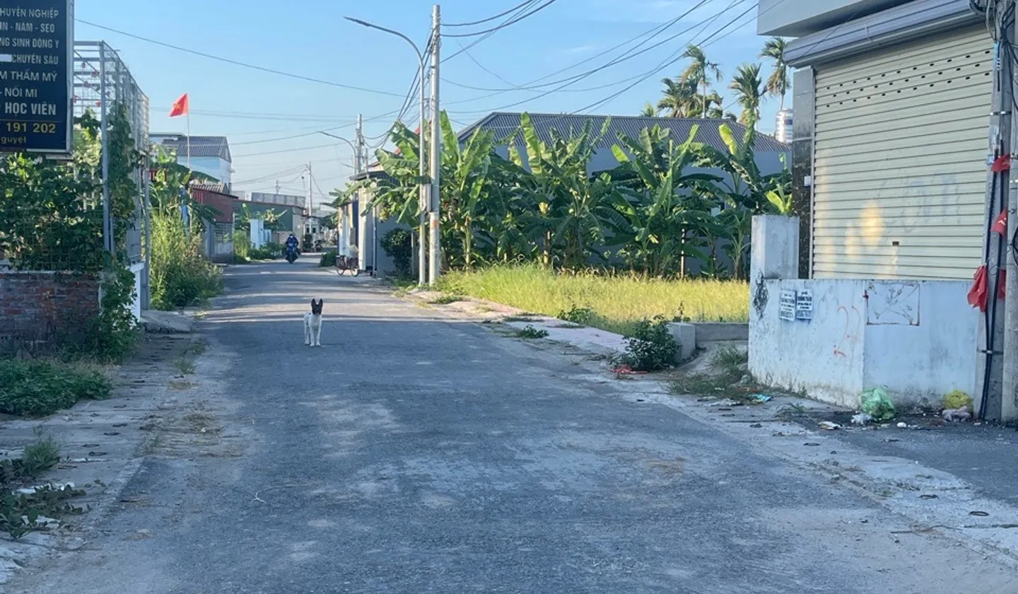 Bán đất mặt đường Đại Trang, An Trường, An Lão, lô góc hai mặt thoáng... Bán đất tại An Trường, Hải Phòng 01