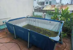 Bán nhà riêng 4 tầng diện tích 67m² gần Quang Trung với 4 phòng ngủ, sổ hồng riêng... Bán nhà riêng tại An Hội Tây, Hồ Chí Minh 14