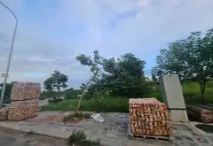 Đất Lô Góc View Hồ - Đầu Tư Ngay -mễ sở - Hưng Yên!... Bán đất tại Mễ Sở, Hưng Yên 07