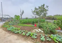 Nhà vườn rộng rãi cho cuộc sống trong lành tại Sóc Sơn... Bán nhà riêng tại Sóc Sơn, Hà Nội 07